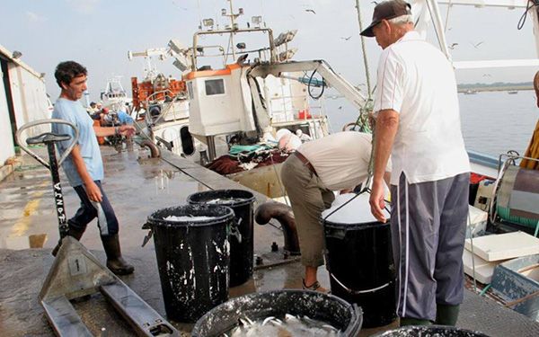 Pesca alicantina en crisis