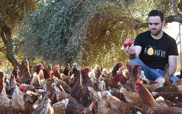 45 municipios con aves confinadas por gripe aviar