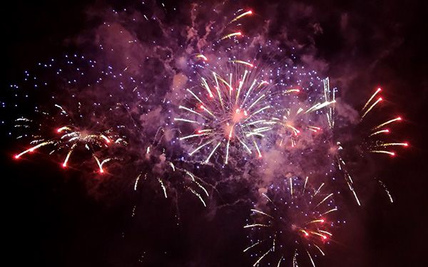 Alicante se queda sin Cocó para los fuegos de hogueras