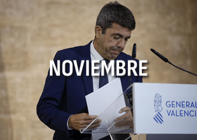 NOVIEMBRE 2025