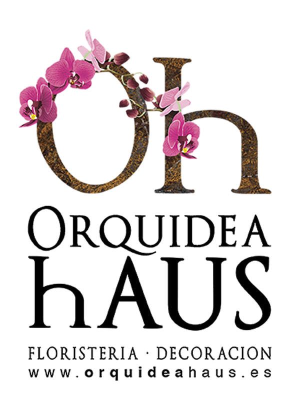 Saber más de ORQUÍDEA HAUS