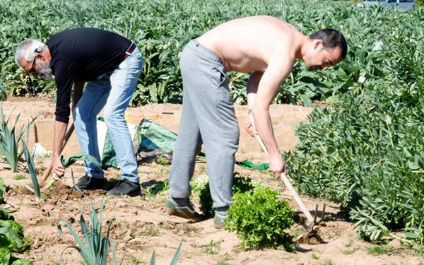 El campo alicantino se queda sin relevo generacional